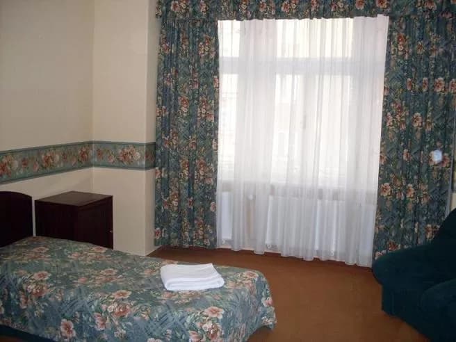 Photo of Hotel Mega